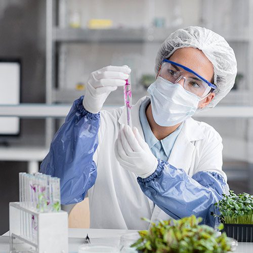 Scientist examining plant sample in a test tube in a lab.
