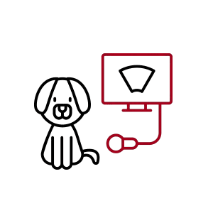 Cartoon dog connected to a blood pressure monitor.