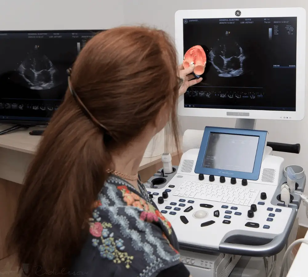 A woman examines an ultrasound image on a medical monitor.